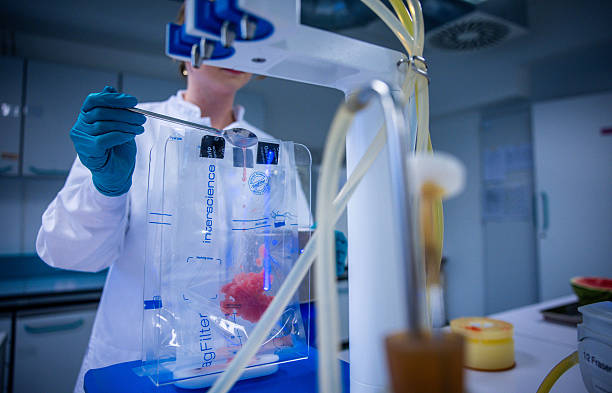 পরমাণুর নিউক্লিয়াস