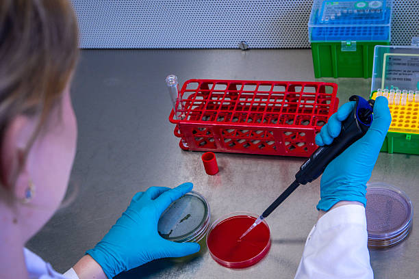 পরমাণুর নিউক্লিয়াস